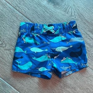 Carter’s 6-9M Boy’s Swim Shorts Trunks Board Shorts EUC
